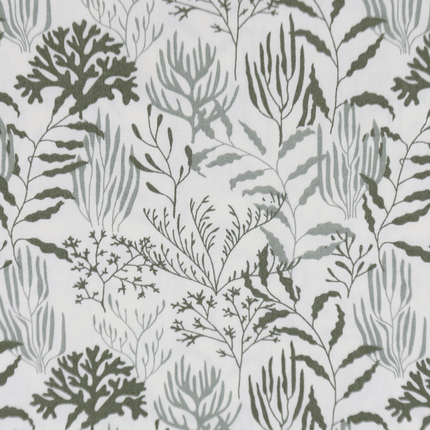 Botanical Linework Poplin Fabric